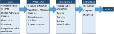 Strategies to Reduce the Expert Supervision Required for Deep Learning-Based Segmentation of Histopathological Images